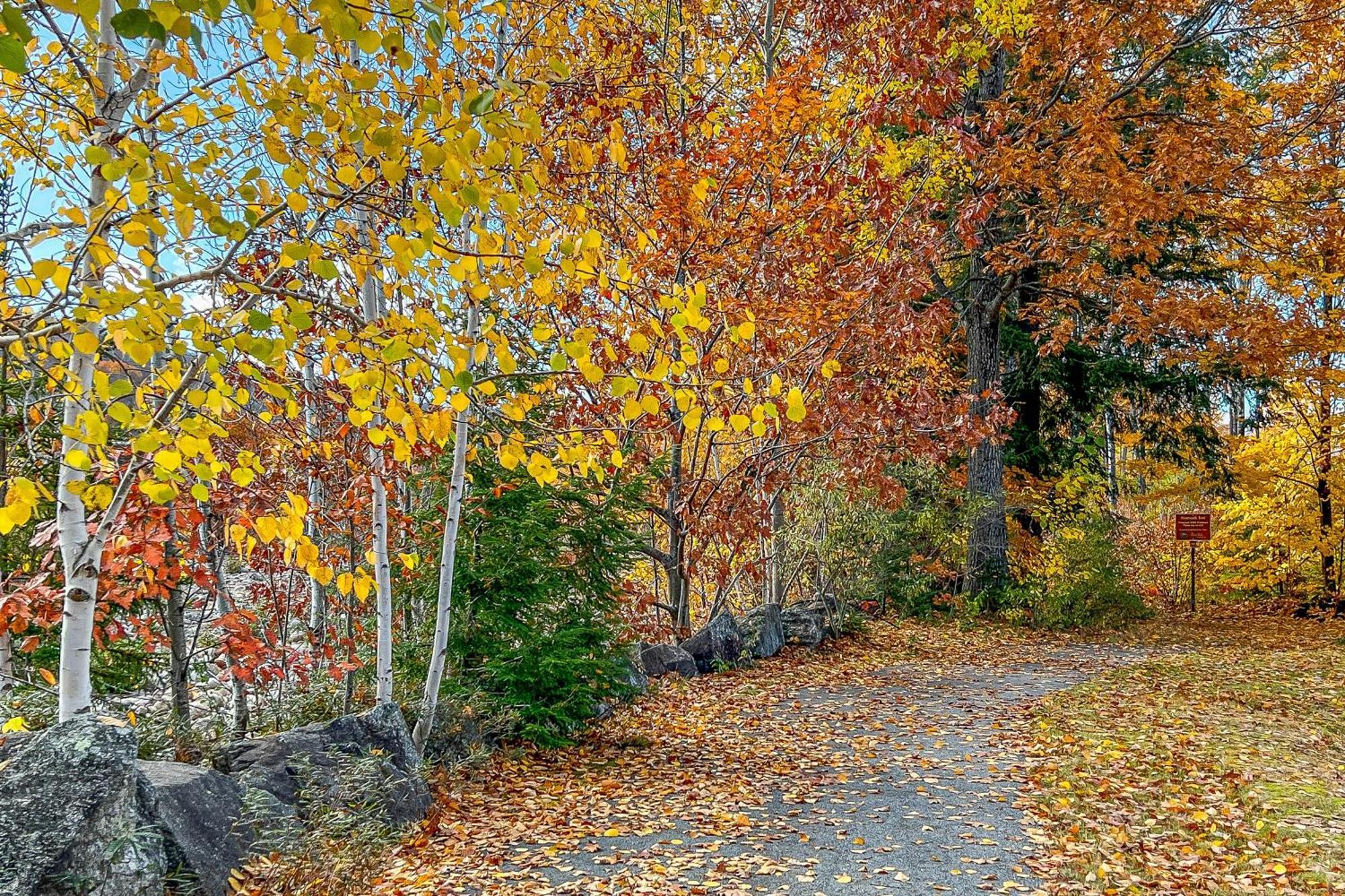 Autumn Colors Condo, Unit 215 Lincoln Eksteriør bilde
